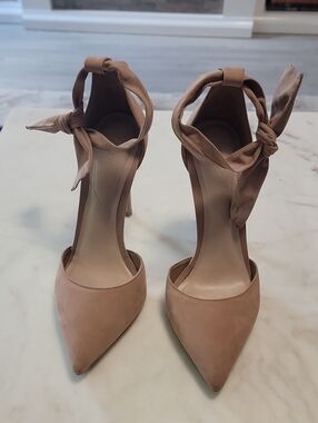Aldo Women's Ankle-Tie Pointed Toe Pumps - Nude